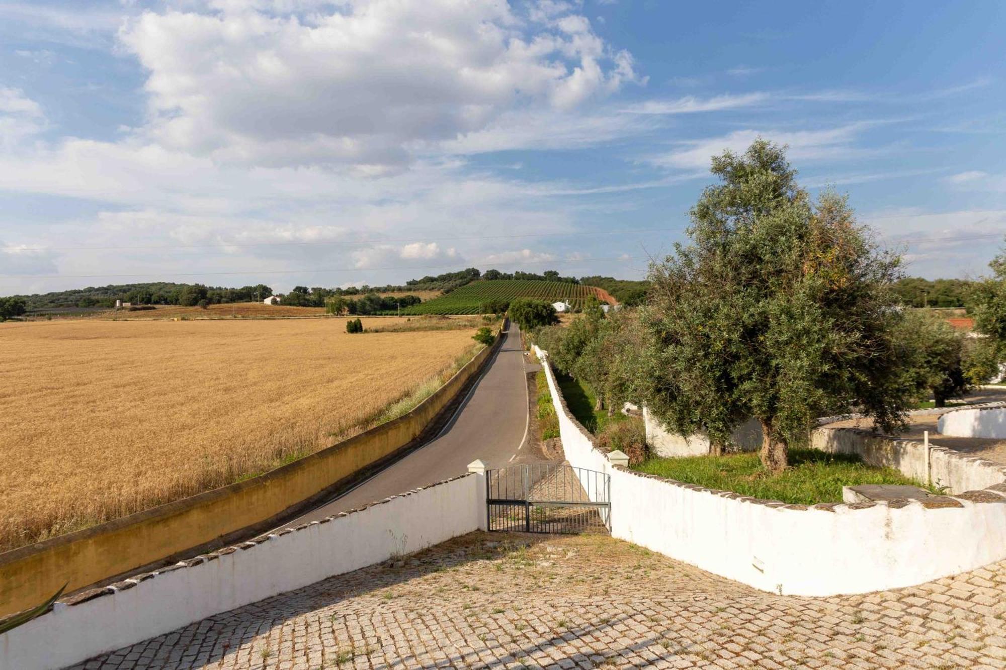 Monte Das Oliveiras - Casas De Campo Estremoz Kültér fotó