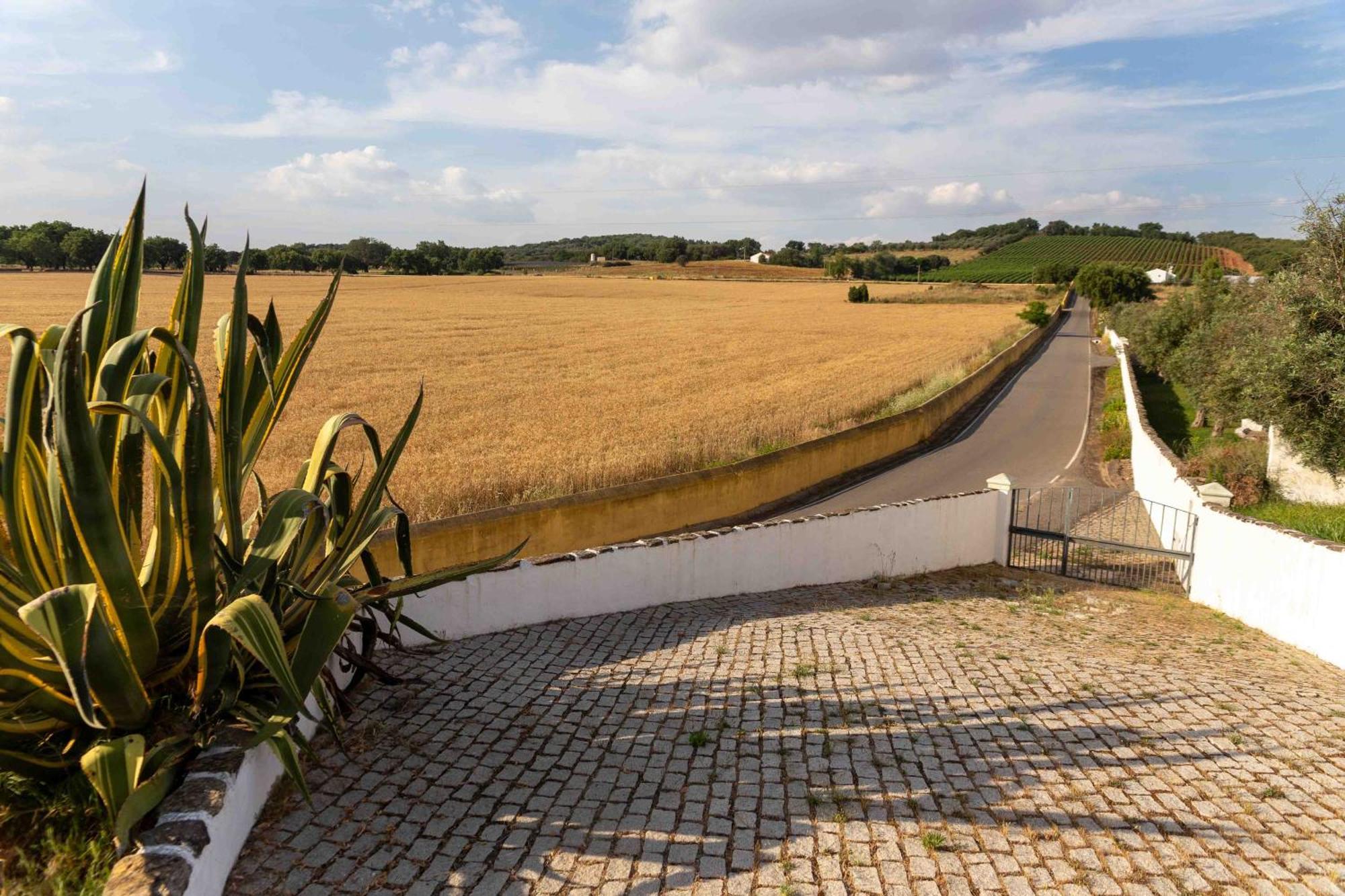 Monte Das Oliveiras - Casas De Campo Estremoz Kültér fotó