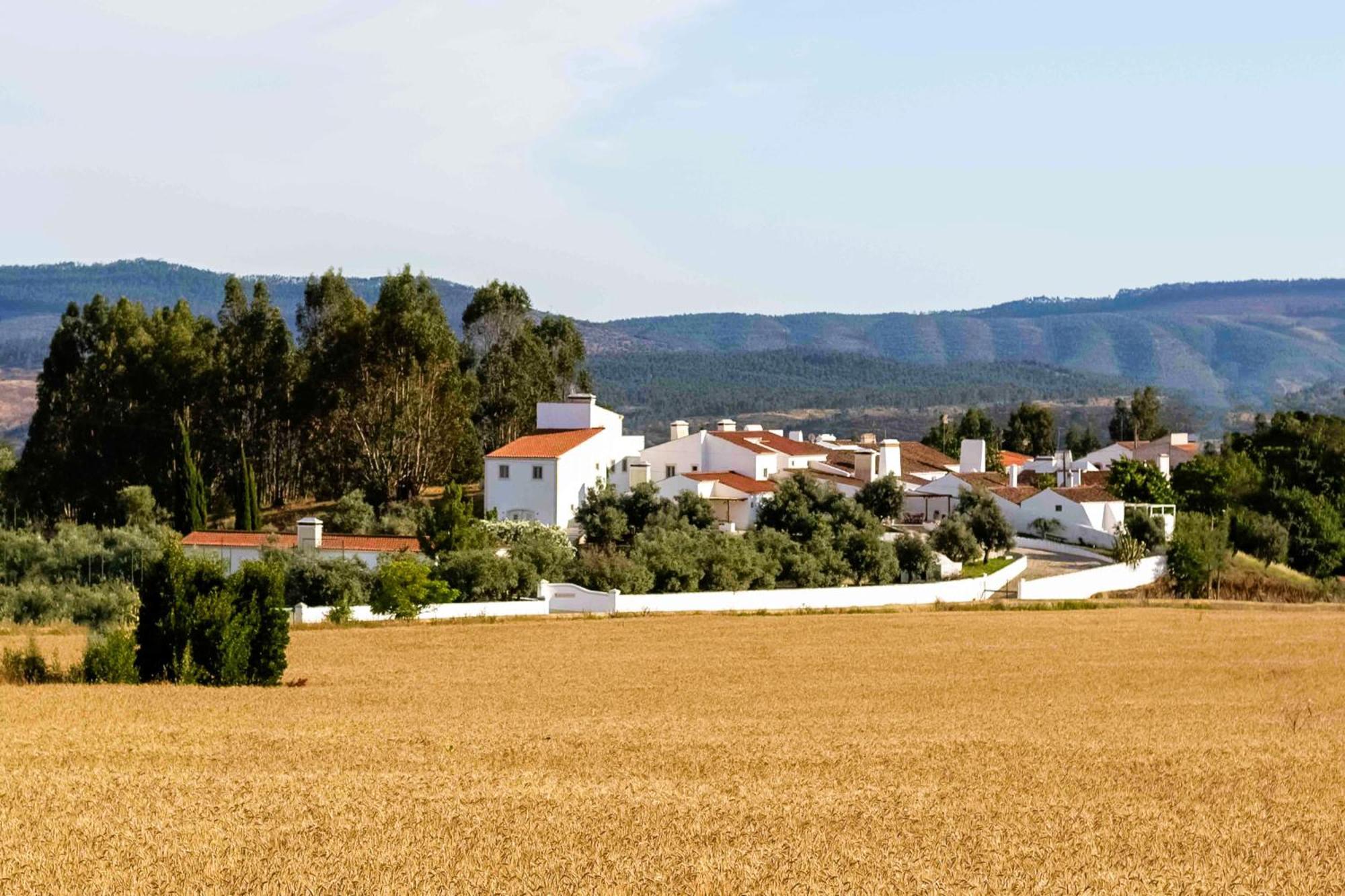 Monte Das Oliveiras - Casas De Campo Estremoz Kültér fotó